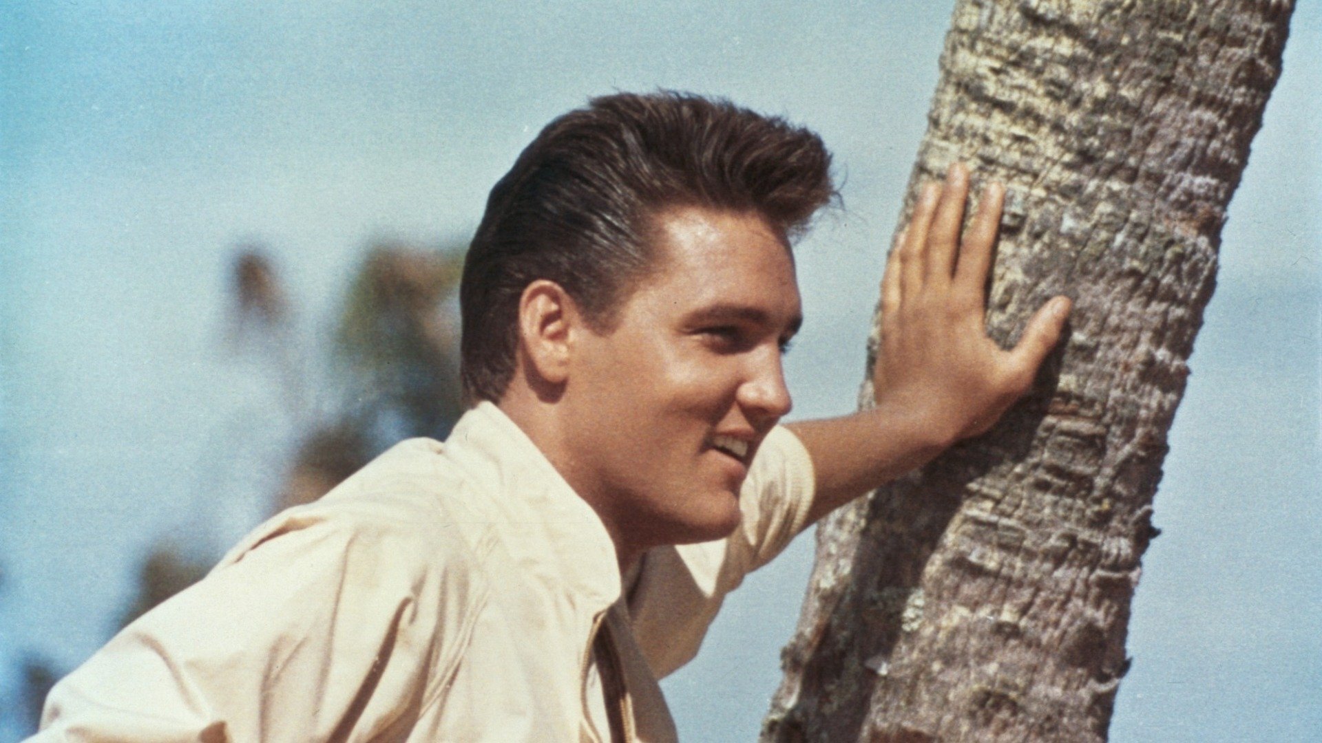 How to Watch Every Movie Starring Elvis Presley | Academy Newsletter